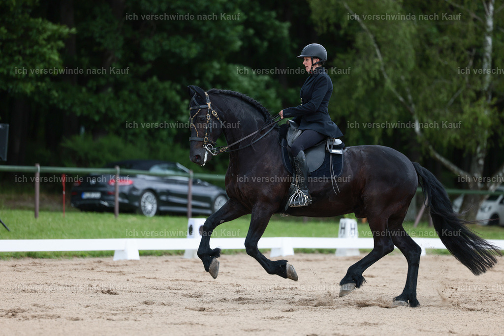 KlasseM_Stoibphotography_C2_L6201.JPG | working equitationturnier fotograf videograf stoibphotography marixx film working equitation deutschland reitsport turnierfotografie eventfotografie equestrian events