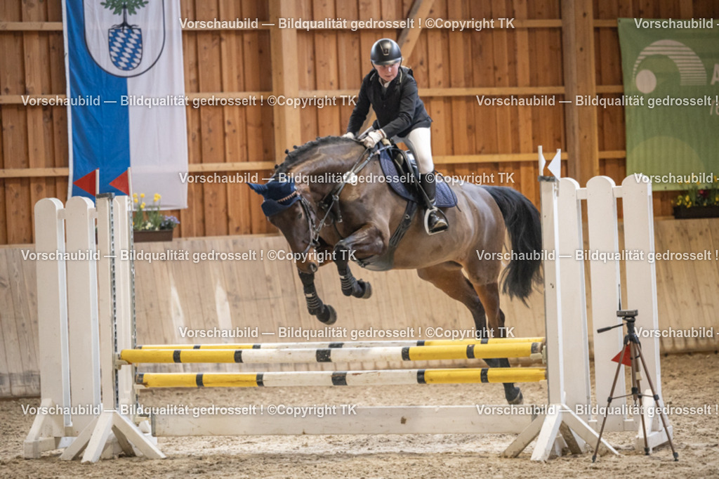 _D5A0208 | Emotionale Pferde- & People-Fotografie rund um Heidelberg, Leimen & Umgebung. Natürliche Fotos von Pferd, Mensch & Familie. Jetzt Termin sichern!