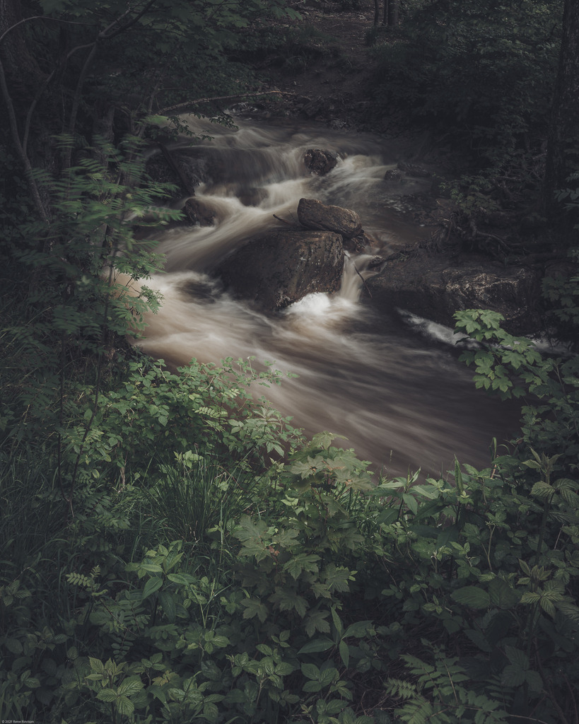 _DSC4041 | renerovisanfotoart.com