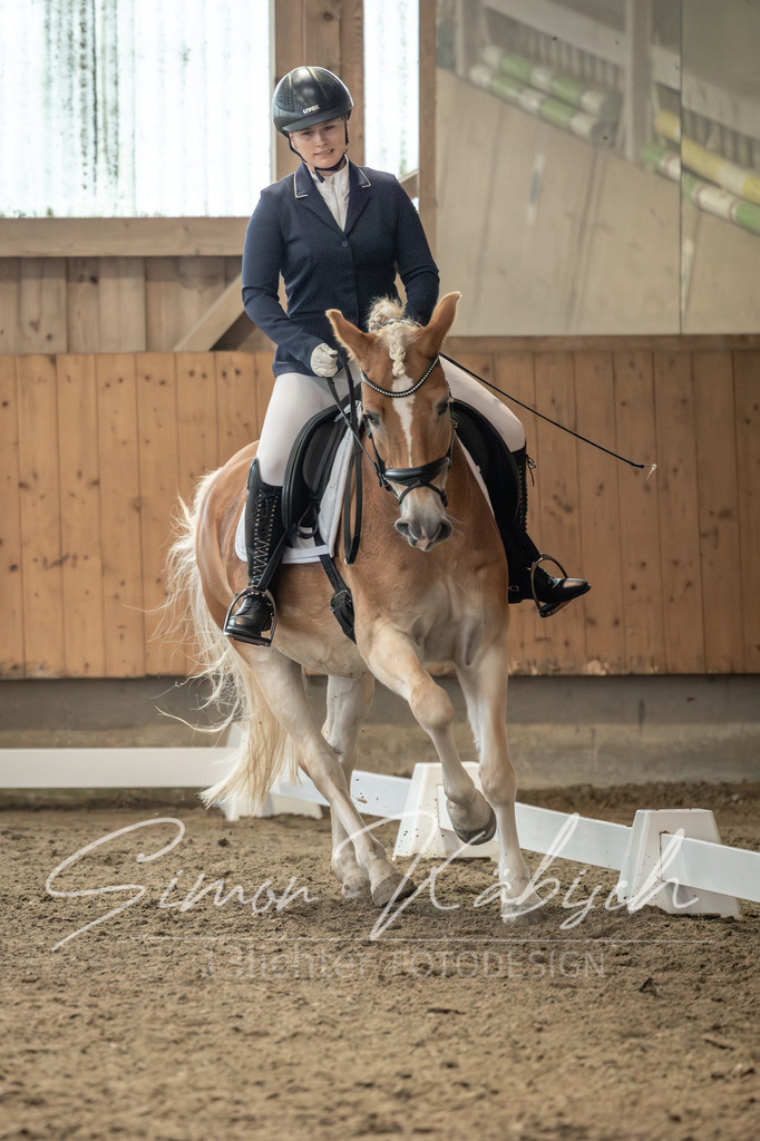 20251011-_3LI6592 | Tierfotografie Pferde, Hunde, Katzen, Haustiere.
Turnierfotografie Reitturniere, Reiten, Springreiten, Dressur in Hanau, dem Main-Kinzig-Kreis und dem Rhein-Main- Gebiet um Frankfurt