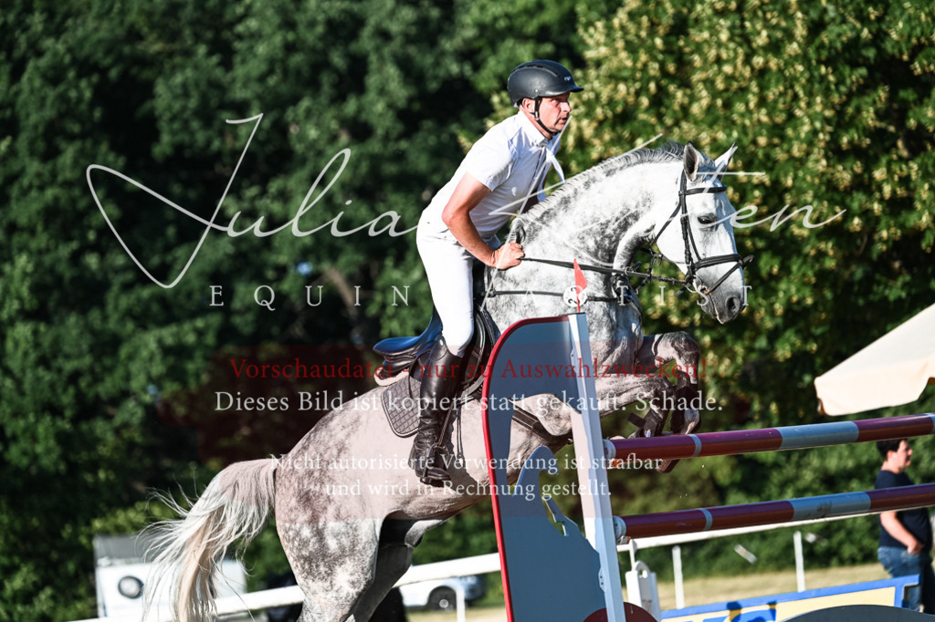 DSC_3147 | Pferde- und Turnierfotografie in Westsachsen. Pferdeportraits, Auftragszeichnungen und intuitive Kunst.