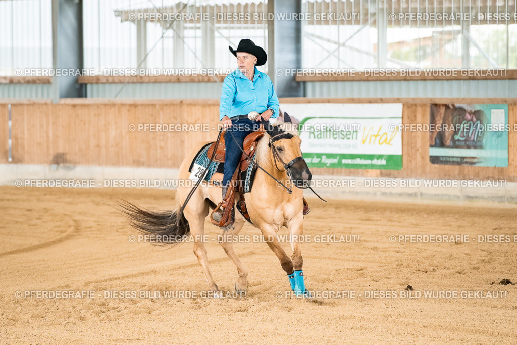 DSC02255 | Pferdegrafie