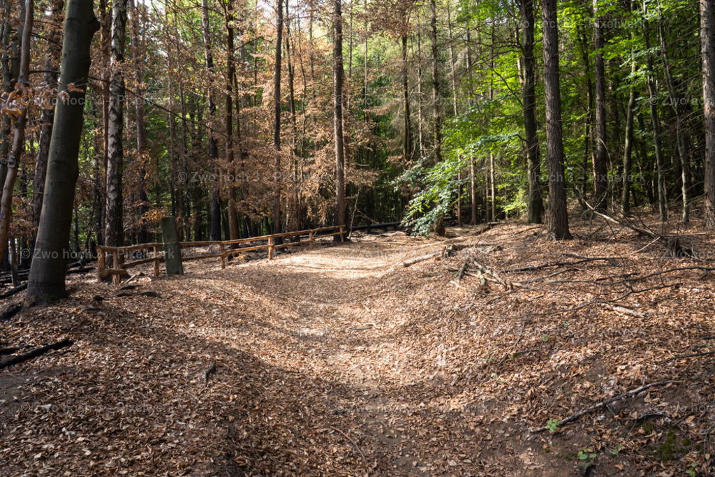 Fremdenweg_nahe_Katzenstein_Waldweg_Handlauf_Laub | 2022-08-30_Waldbrandgebiete_1 - Realisiert mit Pictrs.com
