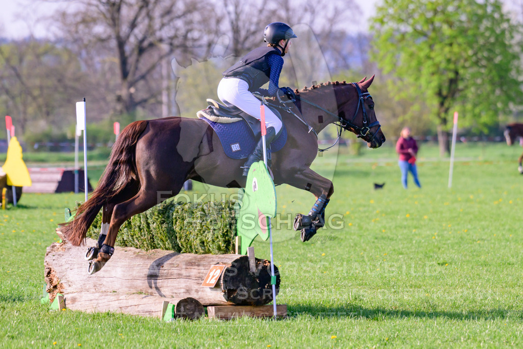 18042026-Gernlinden-02-0436 | Fokus Hufschlag Fotografie - Realisiert mit Pictrs.com