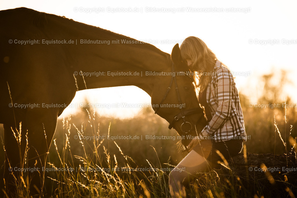 20150715_TOMsPiC_0219 | equistock