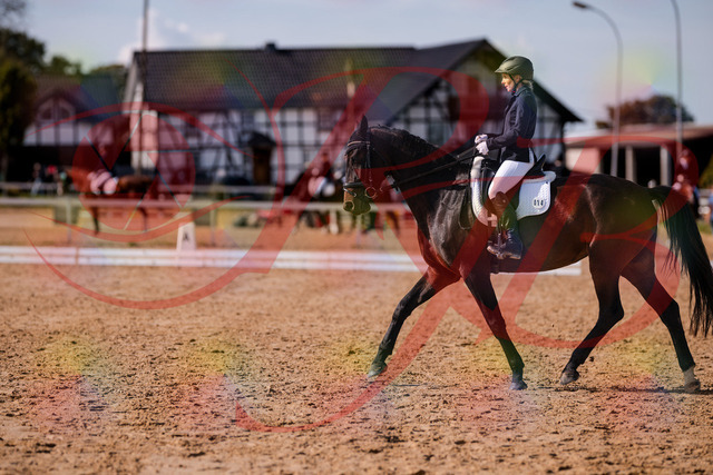 2026_10_03_Siefer-Hof_133851_Z81_97841925 | Professionelle Reitsport-, Turnier- und Eventfotografie von Robert Broda. Galerien mit ausgewählten und bearbeiteten Bildern direkt online ansehen und bestellen.
