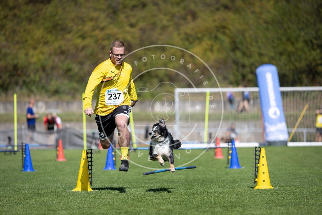 Pfotenfotografie_DV3A5842 | Hundefotografie, Tierfotograf, Pfotenfotografie, Fotoshooting Hund, Hunde Portrait, Hundesport, Hundeportraits, Heideshooting, Hunde, Sportfotograf, Hundefotograf, Turnierhundsport, THS,  - Realisiert mit Pictrs.com
