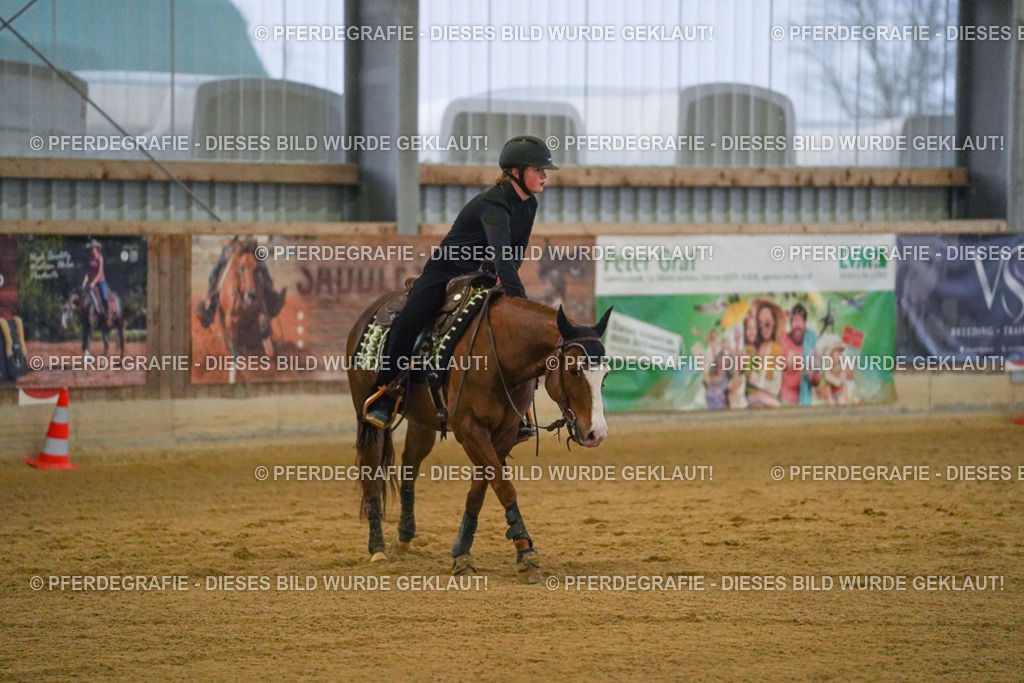 DSC09576 | Pferdegrafie