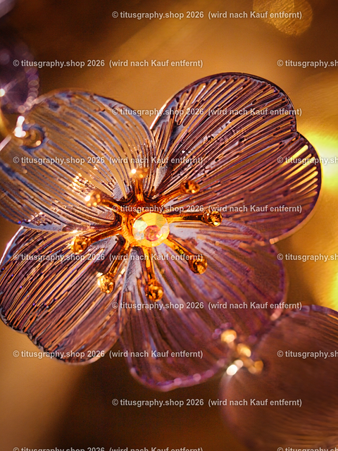 PB195395-b | Fotokunstarbeit aus der INSTAGRAM-Gallerie auf titusgraphy.eu - Realisiert mit Pictrs.com