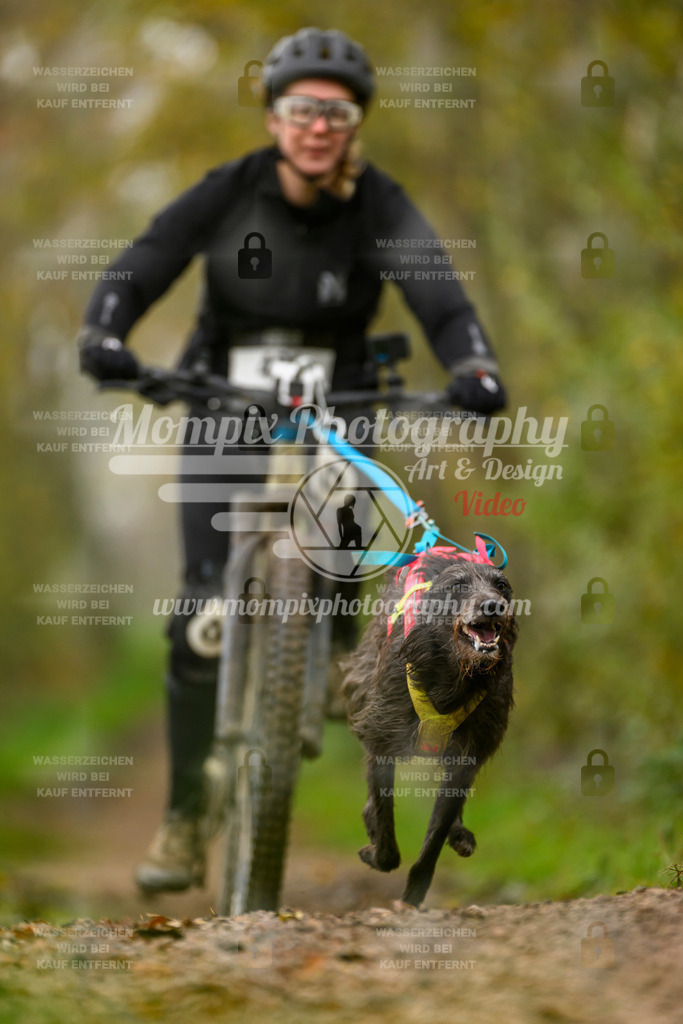 MompixPhotography_20TSB_E6_Bike-163 | PayLife