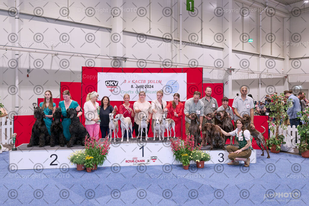 202406_ÖKV-IHA-Tulln24_NZ9_8637 | proPHOTO - Realisiert mit Pictrs.com