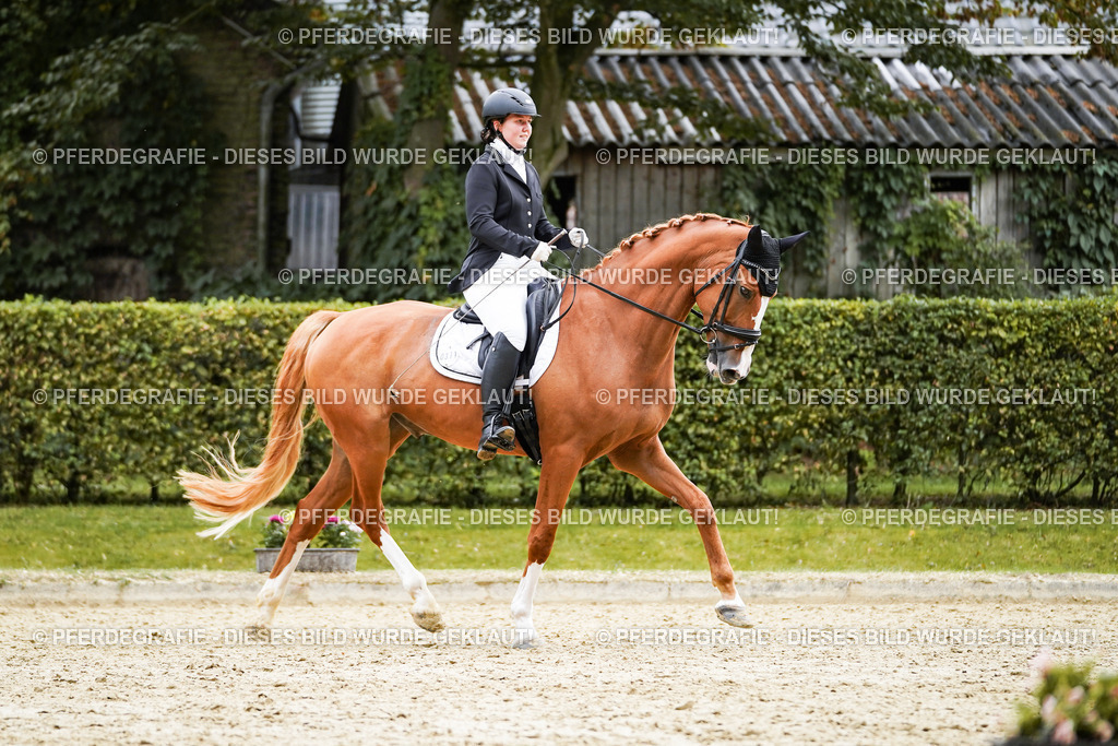 DSC00985 | Pferdegrafie