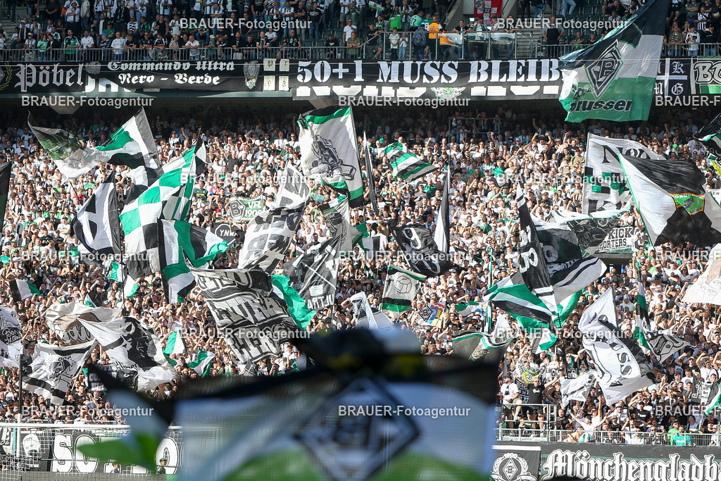 Borussia Mönchengladbach vs Hamburger SV - Bundesliga  | Mönchengladbach, Deutschland, 24.08.25:   Die Fans von Borussia Mönchengladbach mit Fahnenwaehrend des Spiels der Bundesliga zwischen Borussia Mönchengladbach vs Hamburger SV im Stadion im Borussia Park(Foto von Brauer-Fotoagentur / Adrian Schlueter)