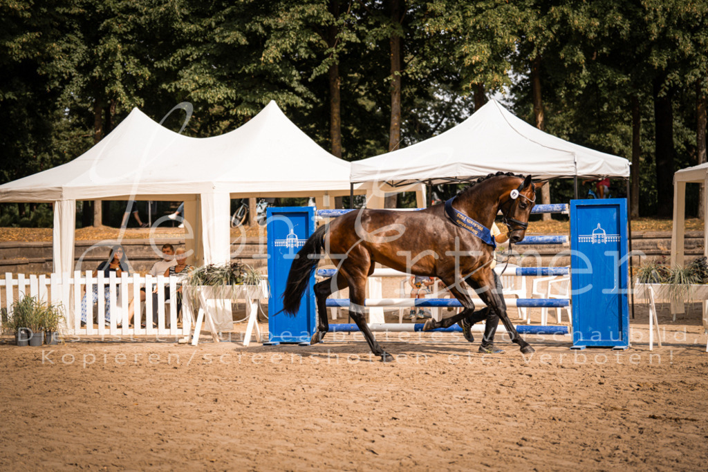 FrER00231 | Leoni Ertmer Photography - Realisiert mit Pictrs.com