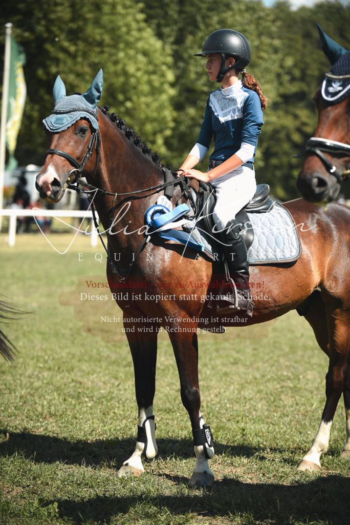 DSC_6822 | Pferde- und Turnierfotografie in Westsachsen. Pferdeportraits, Auftragszeichnungen und intuitive Kunst.