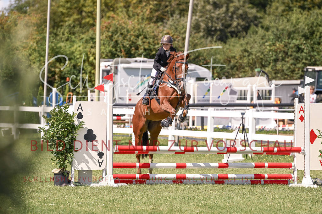 Schugtsche-Düren.2024-05.Springprf.E-4 | Schugtsche Fotografie - Realisiert mit Pictrs.com