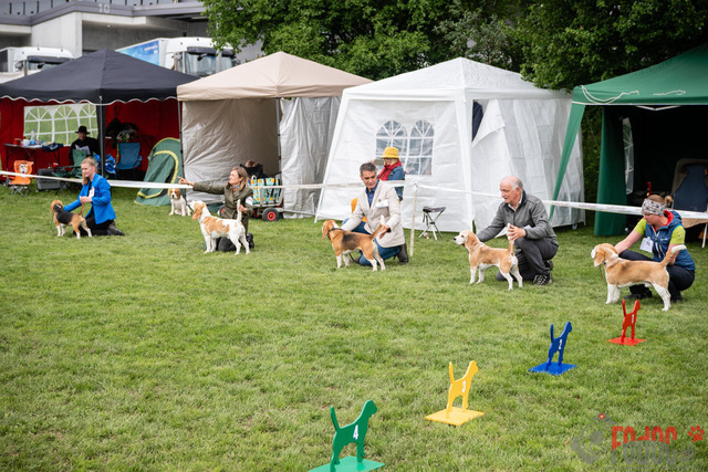 Clubsiegershow BCS  | Clubsiegershow BCS in Villmergen. 14.05.2023 Foto: Leo Wyden