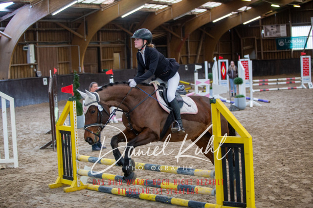 IMG_1803 | Turniersportfotografie; Pferdefotografie; Dressurfotografie