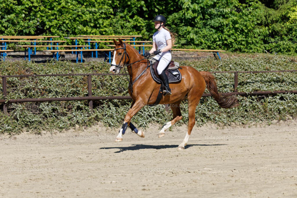 JHE30398 | JoYa Fotografie - Realisiert mit Pictrs.com