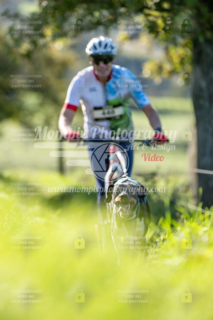 MompixPhotography_20TSB_E3_DS1-46 | PayLife