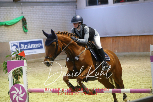 IMG_0773 | Turniersportfotografie; Pferdefotografie; Dressurfotografie