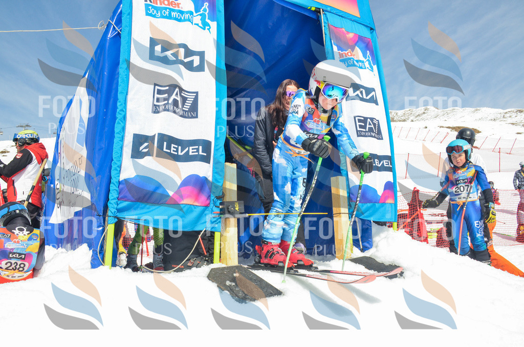 _ELE6519 | holidayphoto