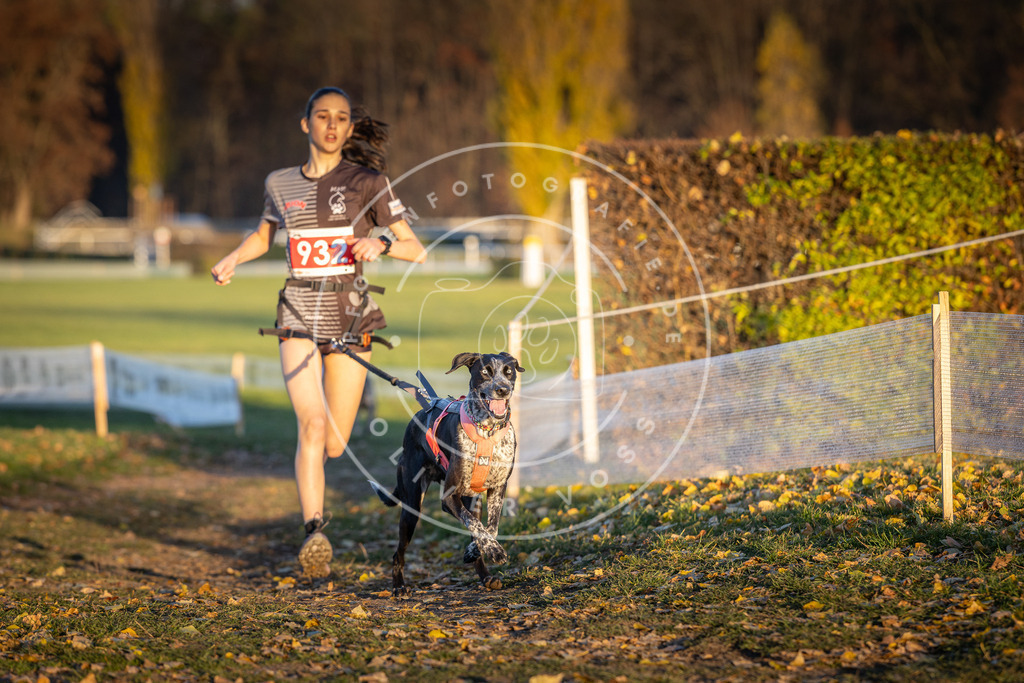 CaniXpix_DV3A5162 | Hundefotografie, Tierfotograf, Pfotenfotografie, Fotoshooting Hund, Hunde Portrait, Hundesport, Hundeportraits, Heideshooting, Hunde, Sportfotograf, Hundefotograf, Turnierhundsport, THS,  - Realisiert mit Pictrs.com