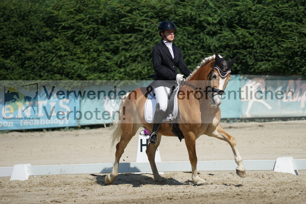 DSC03018 | equestrian-live-com