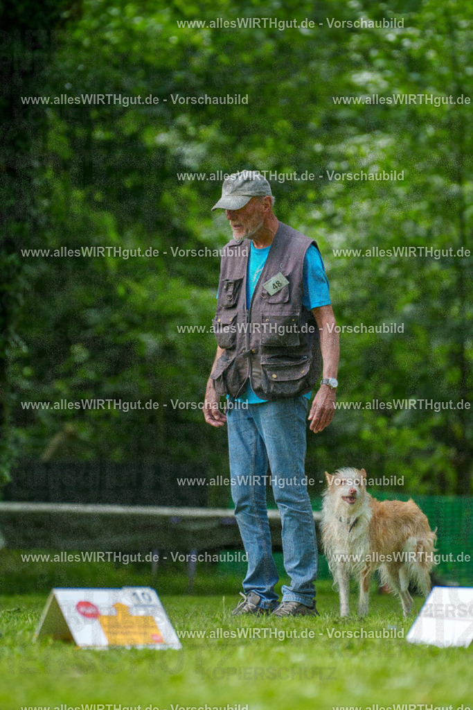 @allesWIRTHgut_Tierfotografie - www.allesWIRTHgut.de - 7R505605 | Professionelle Tierfotografie in Mönchengladbach von Daniel Wirth (allesWIRTHgut). Liebevolle & natürliche Bilder von Hunden & Katzen für unvergessliche Erinnerungen.