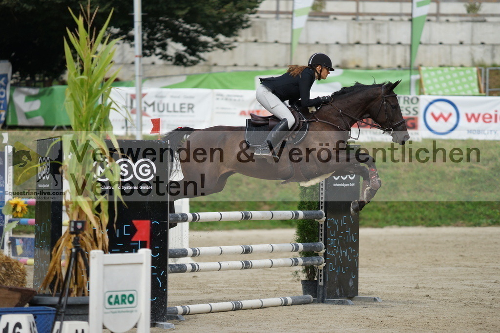 DSC03740 | equestrian-live-com