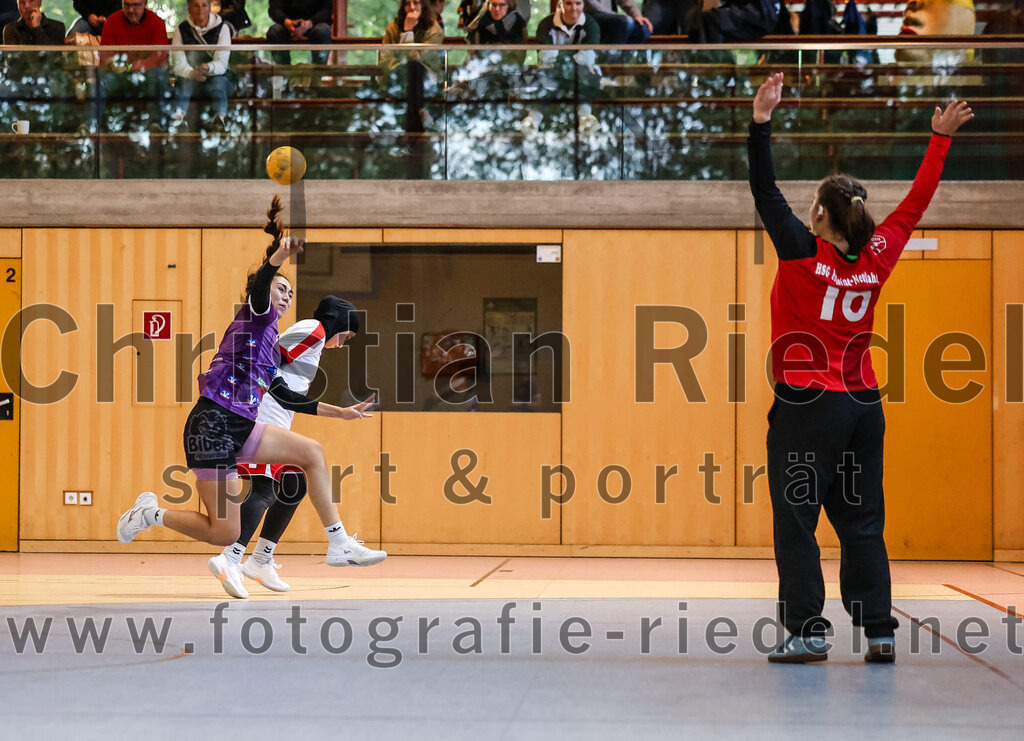 2024-10-13_066_SpVgg_Altenerding_gegen_SC_Freising | Erding, Deutschland, 13.10.2024:Handball, Bezirksoberliga Frauen Altbayern 2024 / 2024, 3. Spieltag, SpVgg Altenerding gegen SC Freising, Endergebnis: 26:35Michelle Gruber (SpVgg Altenerding, #7), Eduarta Krasnigi (HSG Freising-Neufahrn, #4), Hanna Knecht (HSG Freising-Neufahrn, #16)Foto: Christian Riedel / fotografie-riedel.net