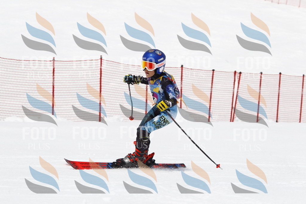 _U3G6953 | holidayphoto