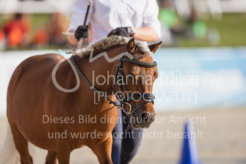 230728_BHO_Showprogramm-518 | Deine schönsten Turniermomente als professionelle Fotos! Entdecke hochwertige Pferdesport-Fotografie im Online-Shop. Jetzt Fotos finden & bestellen!