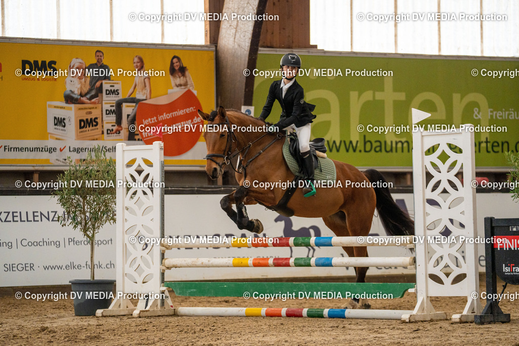 Kranichstein Tag 1-207 | dv-media-shop - Realisiert mit Pictrs.com