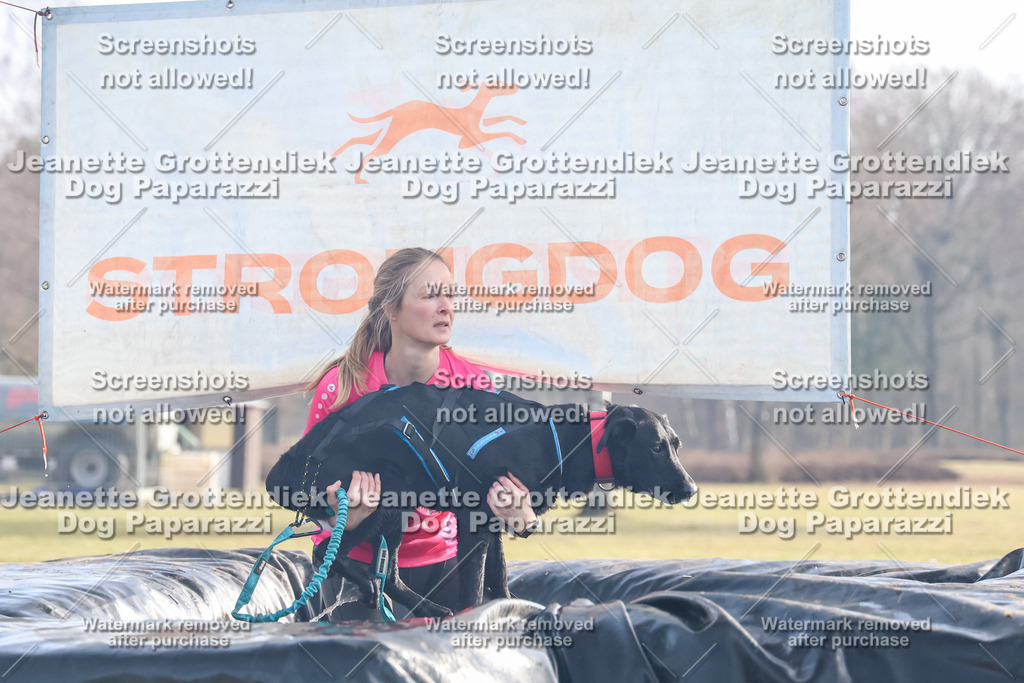 Dog Paparazzi - Strongdog North Mrz26-210 | Dog Paparazzi Jeanette Grottendiek Fotografie & Videografie - Realisiert mit Pictrs.com