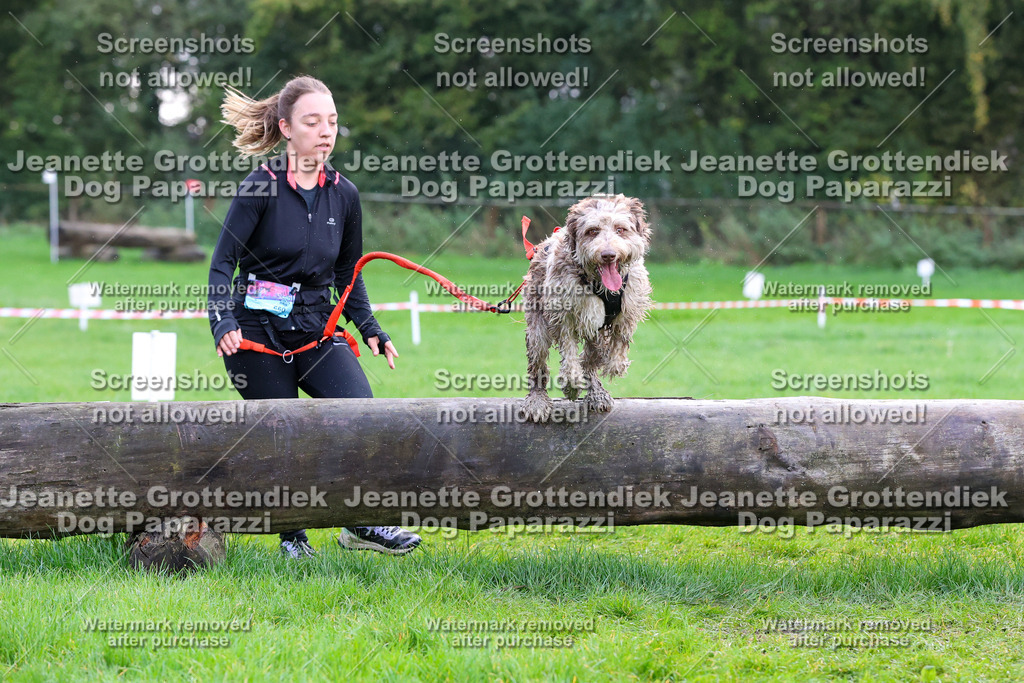 Dog Paparazzi -  SD1026-2084 | Dog Paparazzi Jeanette Grottendiek Fotografie & Videografie - Realisiert mit Pictrs.com