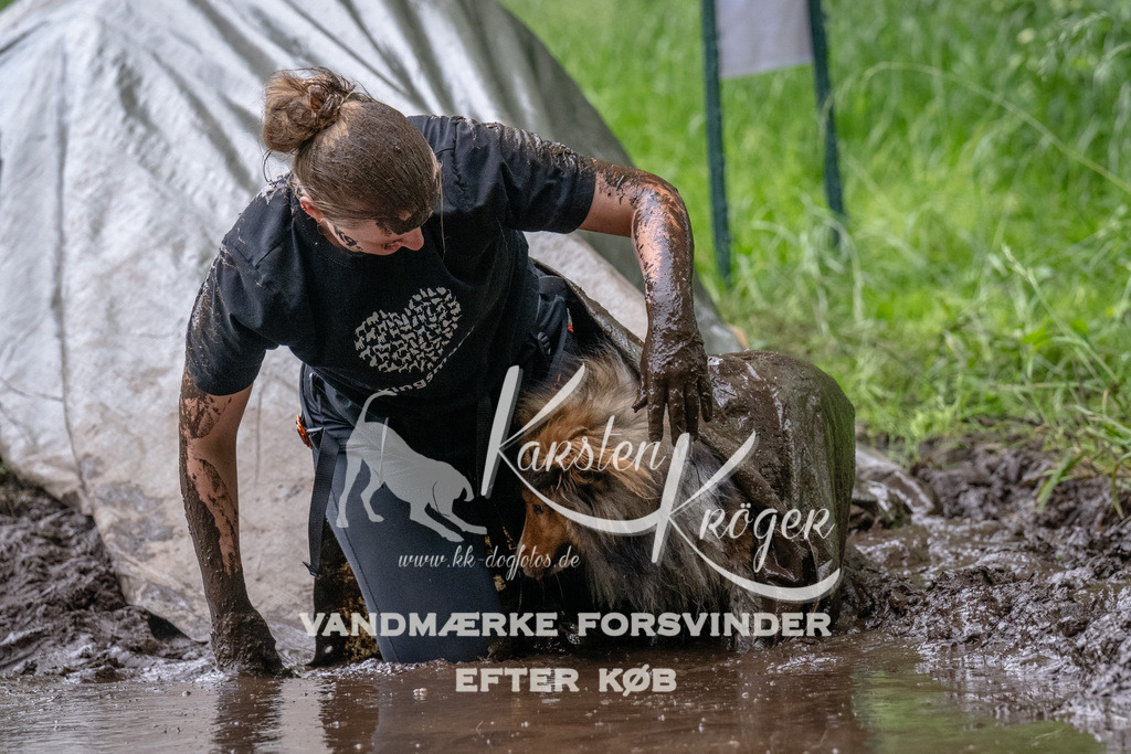 1640_ZZ94777-Bearbeitet | kk-dogfotos