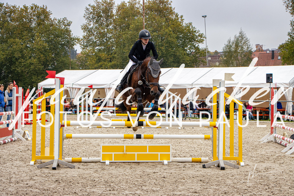 IMG_3285 | Erleben Sie dynamische Sport- und emotionale Tierfotografie in Süddeutschland mit Fotos von Paula. Spezialisiert auf Pferde- und Hundefotografie sowie Sportevents. Kontaktieren Sie mich für einzigartige und ausdrucksstarke Bilder Ihrer besonderen Momente. - Realisiert mit Pictrs.com