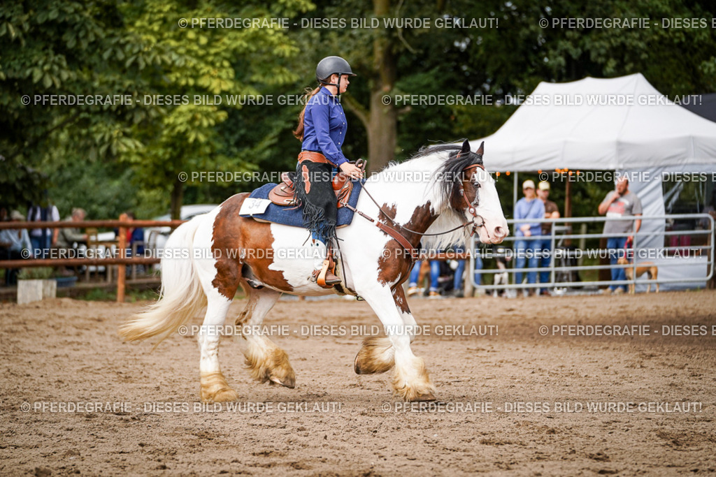 DSC07718 | Pferdegrafie