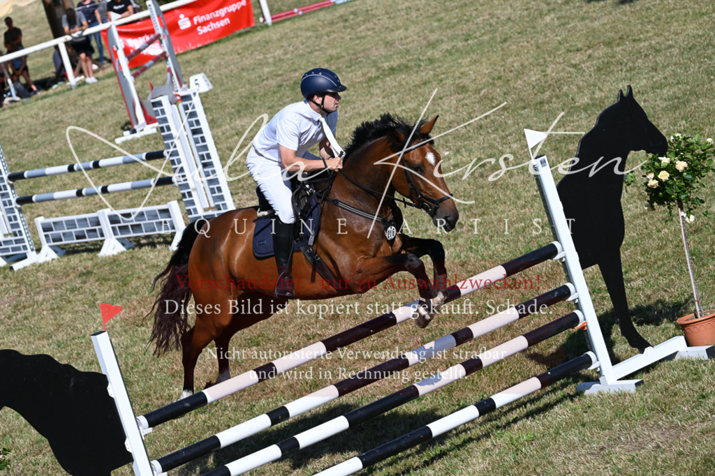 DSC_2172 | Pferde- und Turnierfotografie in Westsachsen. Pferdeportraits, Auftragszeichnungen und intuitive Kunst.