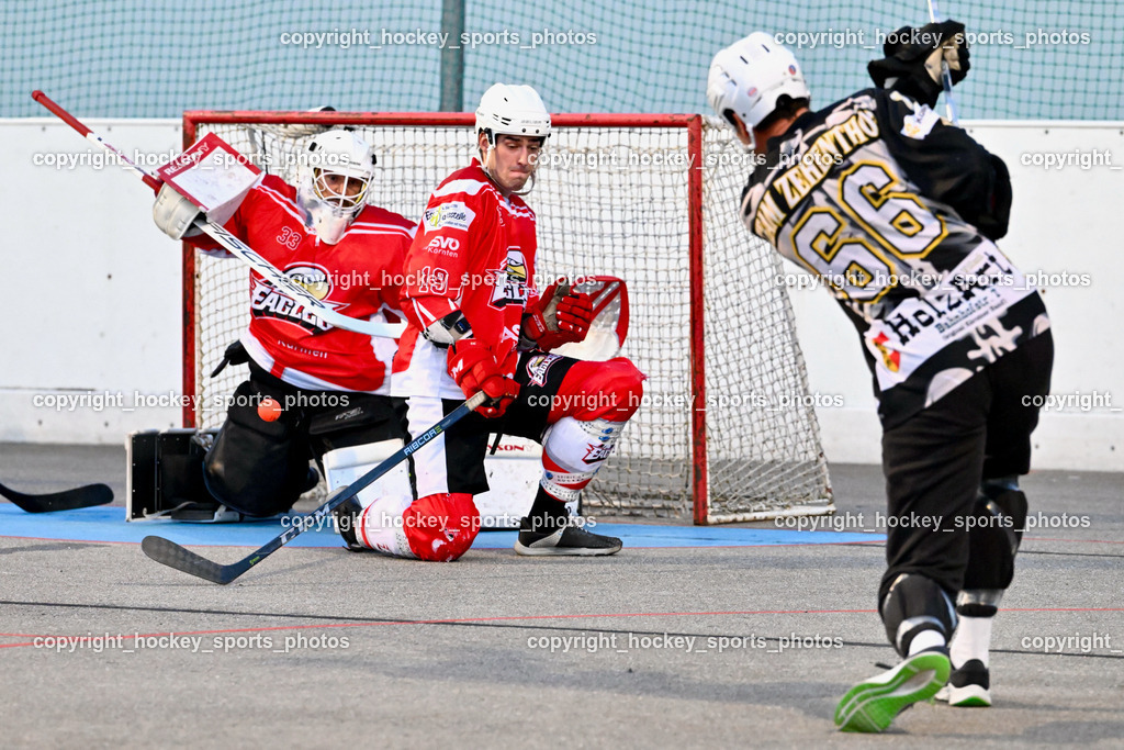 Team Zehenthof vs. HSC Eagles 14.7.2023 | #66 ALAGIC Adis, #19 Puff Wolfgang, #33 Mette Claudio