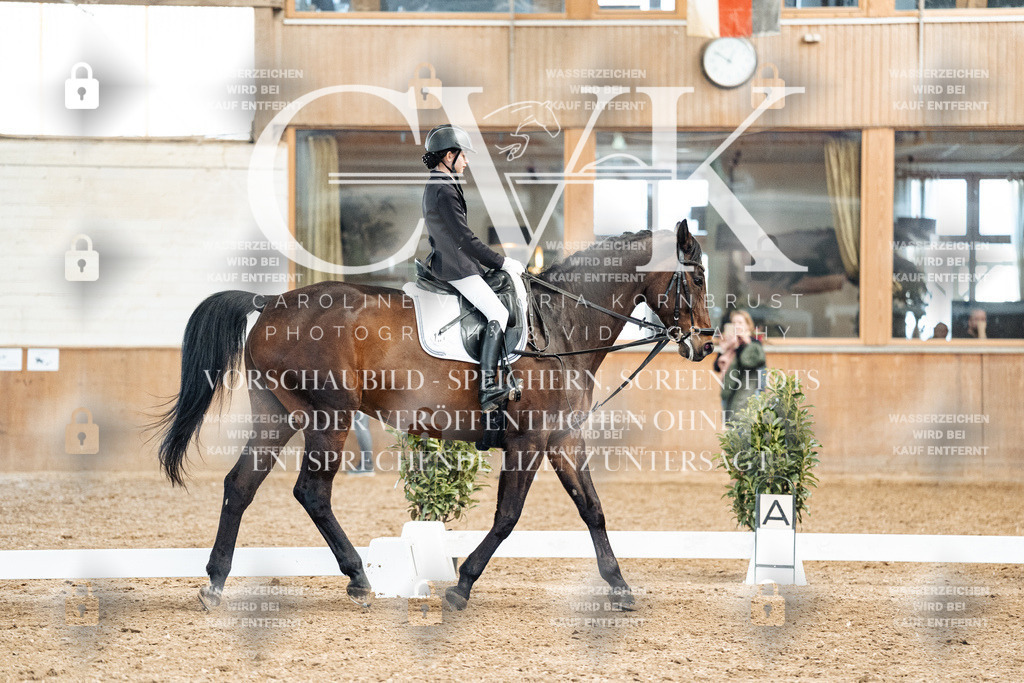 CK900419 | Turnierfotografie Pferdefotografie Trier Rheinland-Pfalz Pferdesport Reitsport Tierfotografie Sportfotografie Pferdevideo Pferdevideografie Equestrianvideography equestrianphotography  - Realized with Pictrs.com