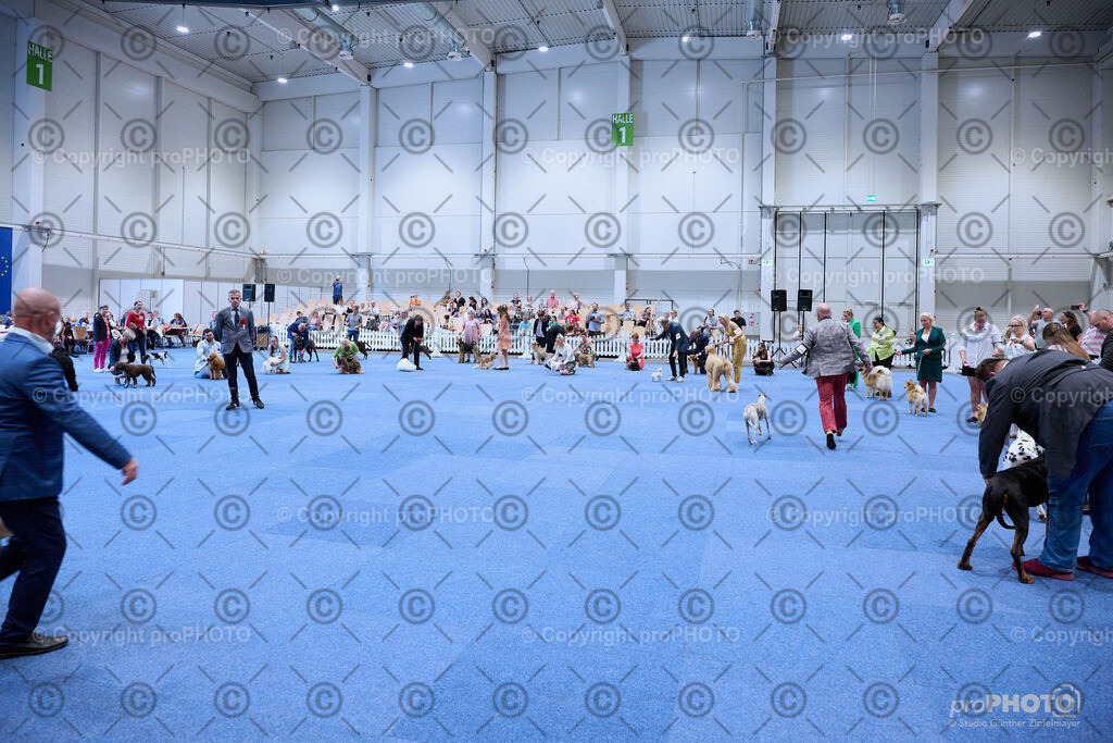 202406_ÖKV-IHA-Tulln24_NZ9_8766 | proPHOTO - Realisiert mit Pictrs.com