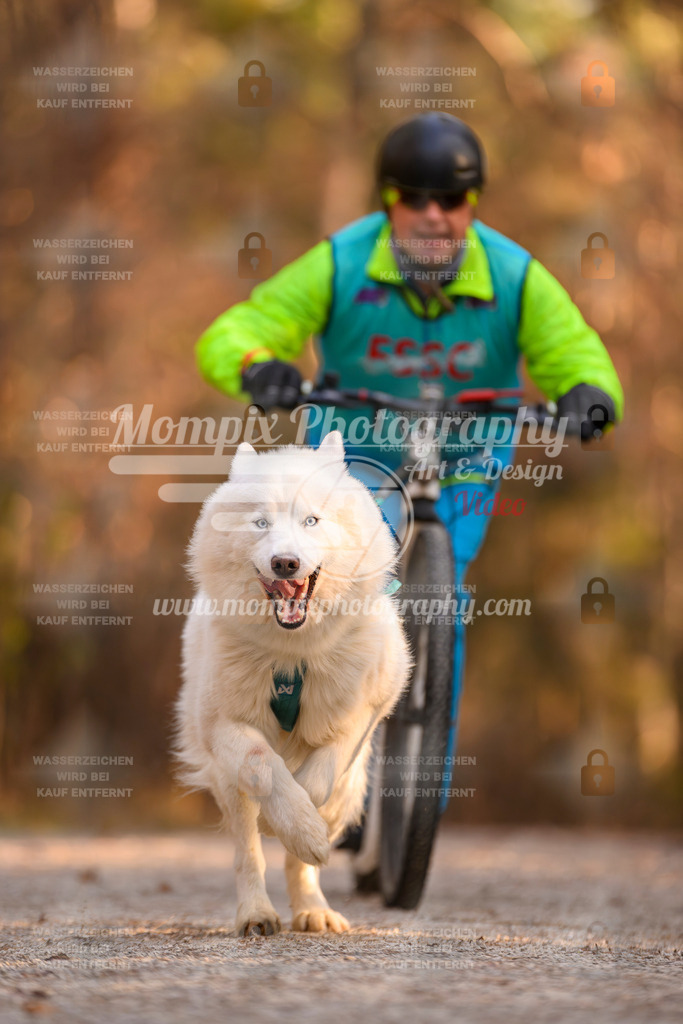 MompixPhotography_DM_AKDM_SO_2025_Scooter-239 | PayLife