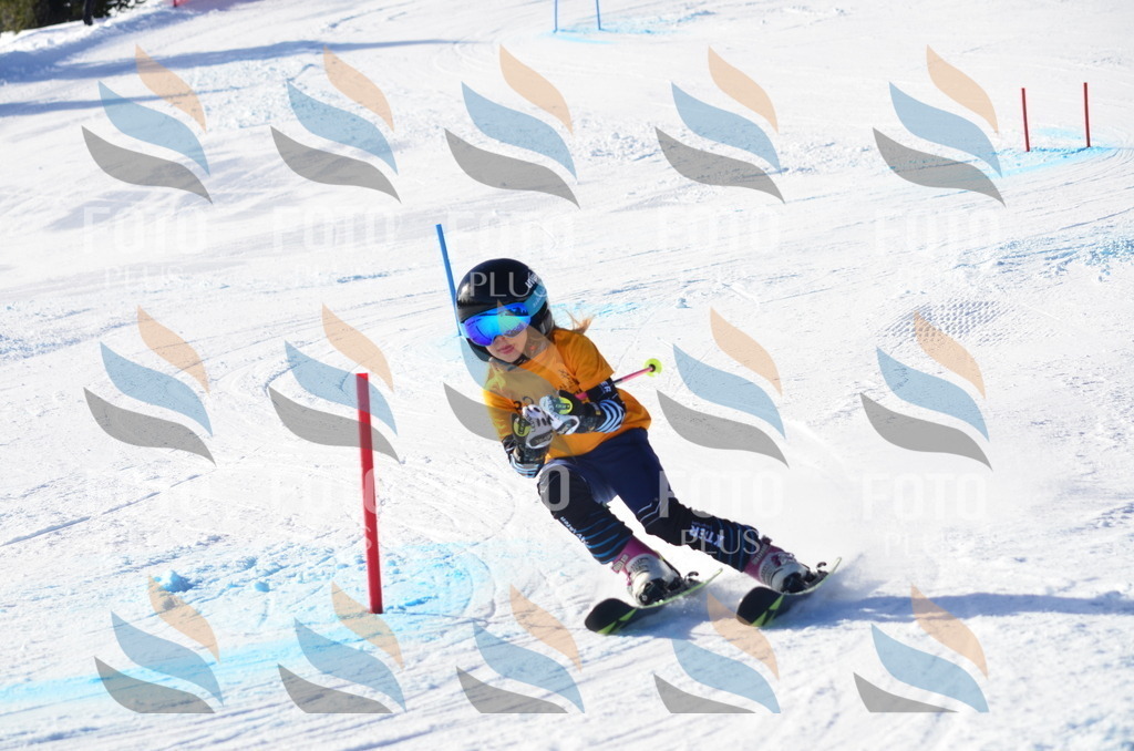 C5993 | holidayphoto