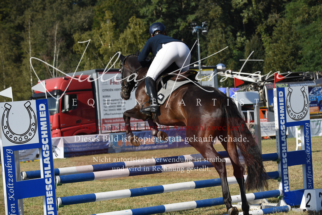 DSC_5172 | Pferde- und Turnierfotografie in Westsachsen. Pferdeportraits, Auftragszeichnungen und intuitive Kunst.