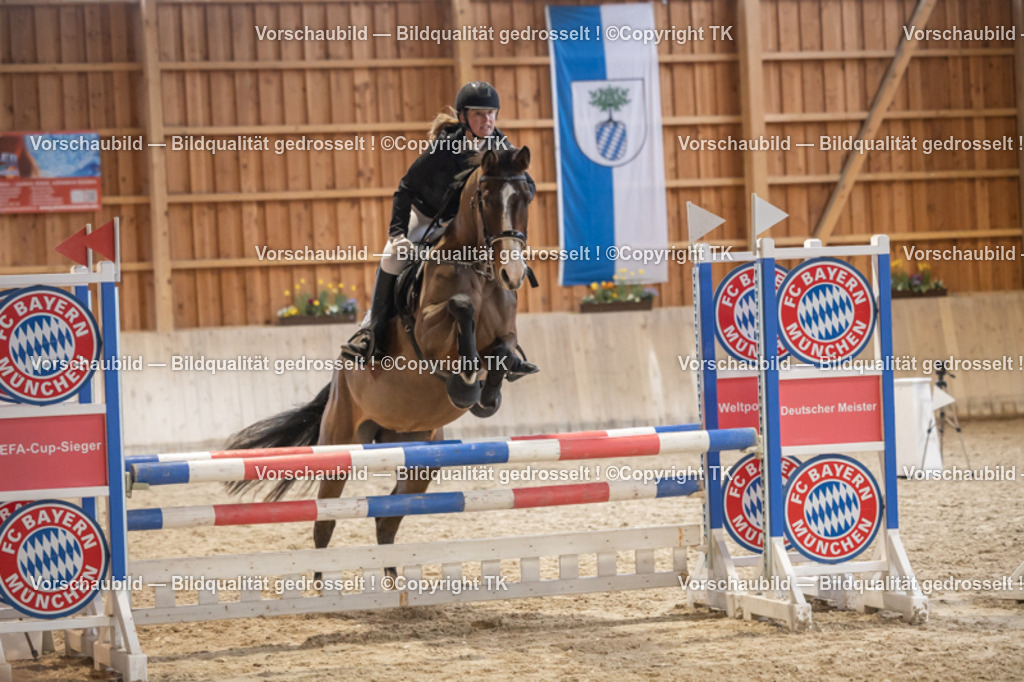 _D5A8173 | Emotionale Pferde- & People-Fotografie rund um Heidelberg, Leimen & Umgebung. Natürliche Fotos von Pferd, Mensch & Familie. Jetzt Termin sichern!