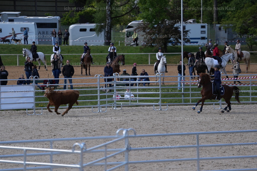 PI26_GesamtCOW_JansPictures_7C_09960.JPG | working equitationturnier fotograf videograf stoibphotography marixx film working equitation deutschland reitsport turnierfotografie eventfotografie equestrian events