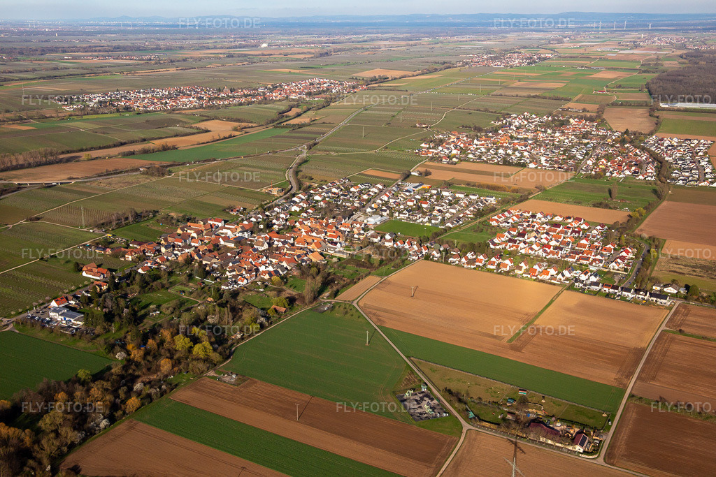 Luftbild: Ortsansicht von Südwesten im Ortsteil Dammheim in Landau im Bundesland Rheinland-Pfalz in Deutschland. Foto: IMG_139959.jpg vom 14.03.2024 durch Werner Riehm/FLY-FOTO.de
