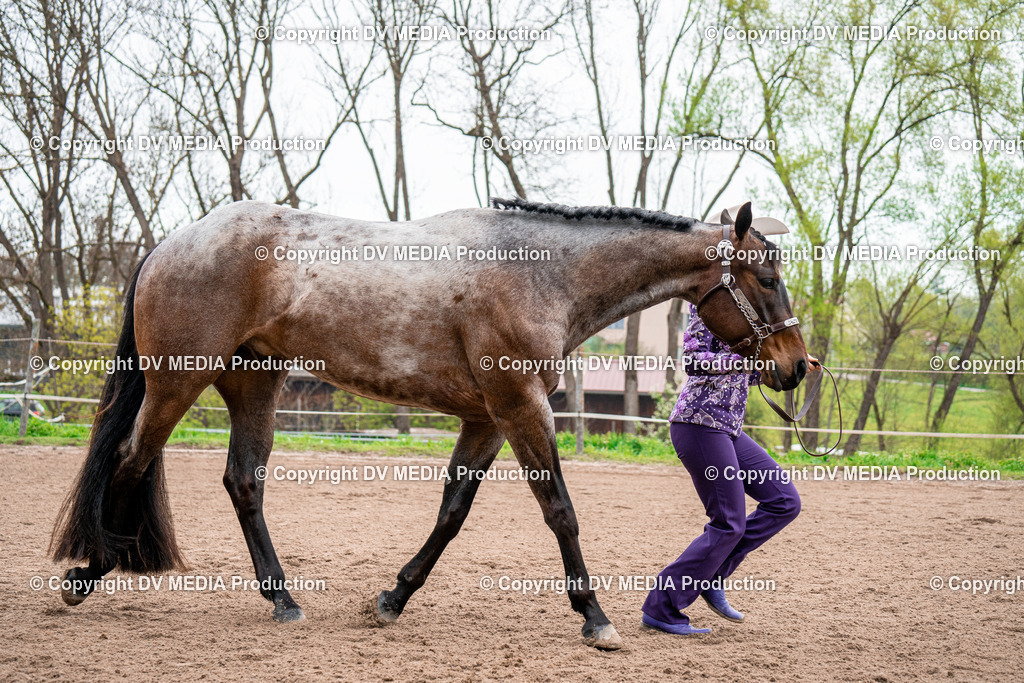 BA300116 | dv-media-shop - Realisiert mit Pictrs.com